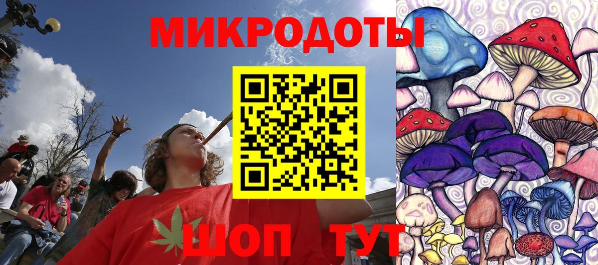 Псилоцибиновые грибы Psilocybe  цены наркотик  Верхняя Пышма  Псилоцибиновые грибы мицелий  Вход с VPN 